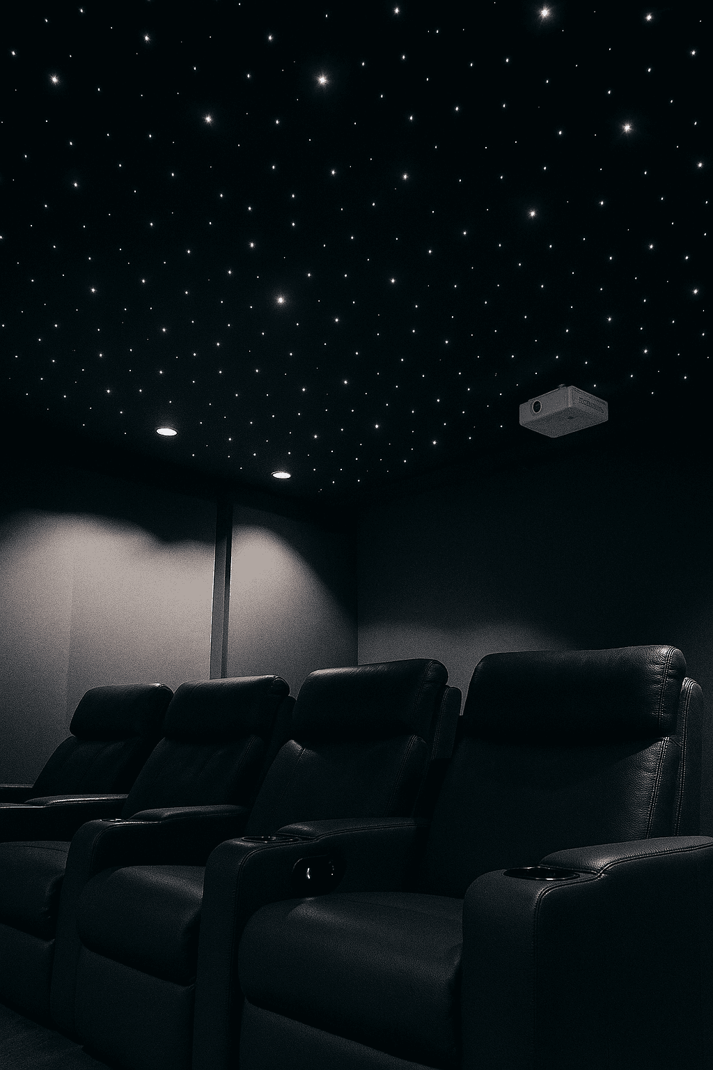 Microcine privado